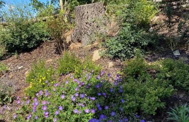 Ferienhaus AUSZEIT - Foto 32