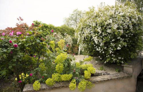 Clair logis - Foto 47