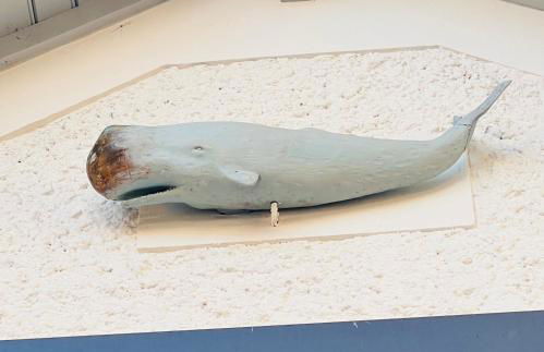 Le cache a l eau - Foto 5