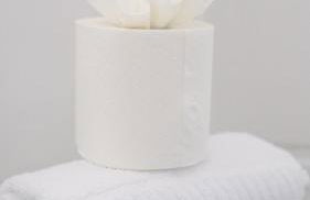 Harburn House - Foto 44