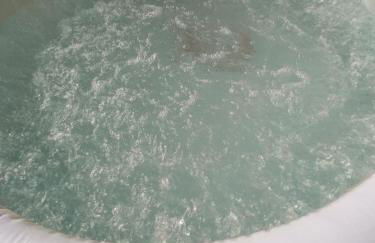 Cabin with a tree house on a buffalo farm . - Foto 35