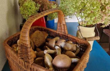 Łap Las Pelnik - Photo 23