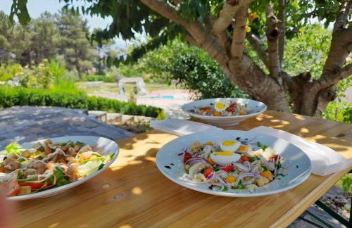 Quinta Manhas Douro - Photo 70