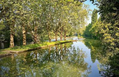 La chaume du marais poitevin avec barque green venice with boat - Foto 22