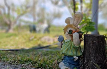 Dream in Chalkidiki 2 bedroom villa with garden - Foto 56