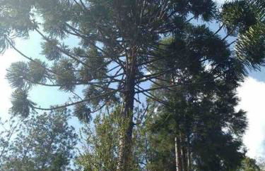 Chacara com Piscina Aquecida - Foto 44
