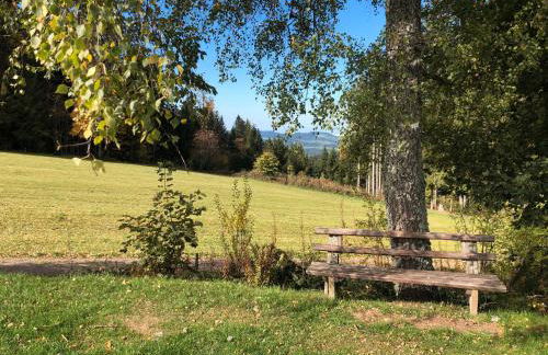 2 Zimmer Wohnung, mit Sonnenterasse - Foto 29