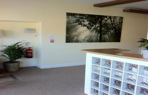 Lyall Apartment Hotel - Foto 68