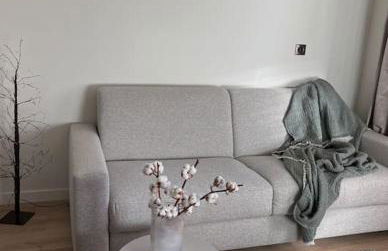 Baby Jane, Studio front de neige - Photo 40