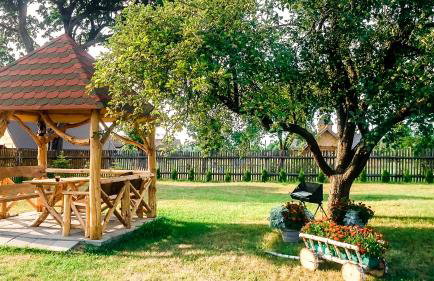 Leśny Zakątek - Foto 5