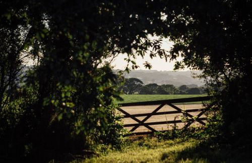 The Little Retreat, Pembrokeshire - Photo 11