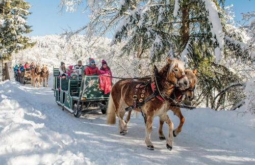 Chalet Torri del Brenta - Foto 32