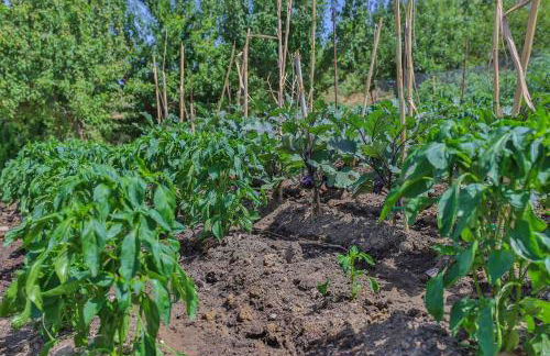 Agriturismo Al Lago Verde - Foto 36