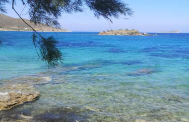 Fabrika's Breeze - Foto 13