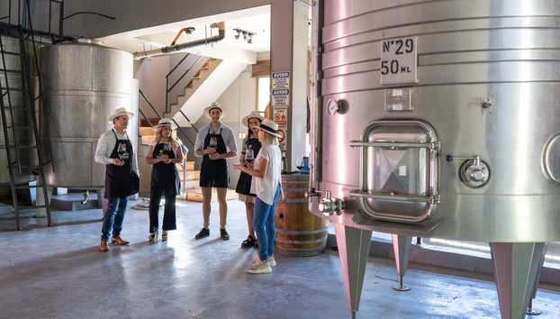 Hinojosa Winery Tour - Foto 5