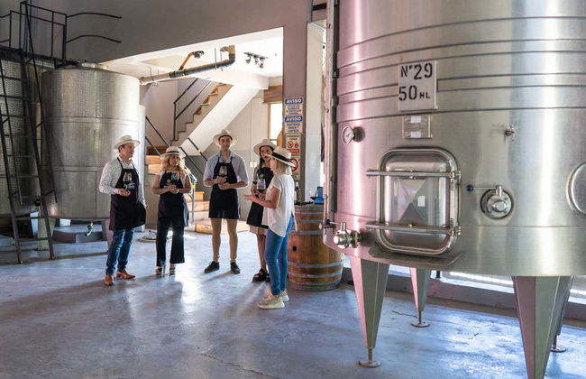 Hinojosa Winery Tour - Foto 5