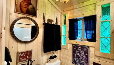 The Drake Cabin in The Forest - Photo 5