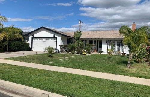 Cheerful, Beautifully Remodeled, Modern, Comfortable Home - Foto 15