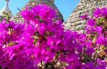 Trullo Amalia con piscina privata - Foto 8