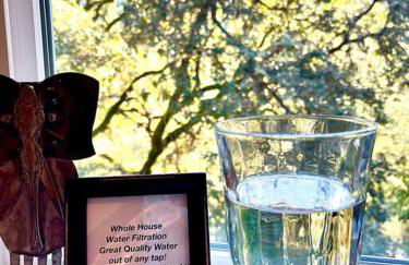 Avenue of the Giants River View Home (#1) - Foto 43