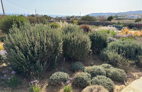 GAIA, unique villa, private pool & tennis court & boules - Foto 57