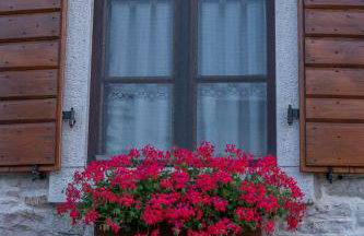 Stara kuća - Photo 51