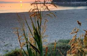 Trilocale Margine Rosso - Foto 26