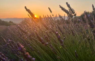 Casa Vacanza il Mandorlo - Foto 77