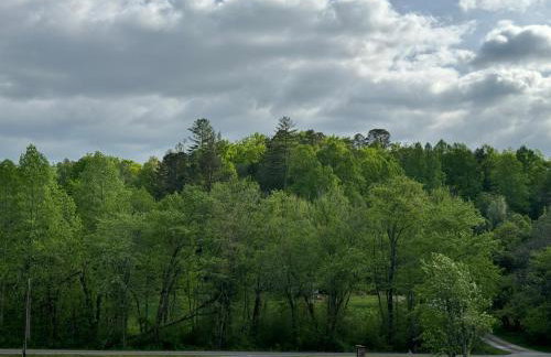 The Holler - Foto 50