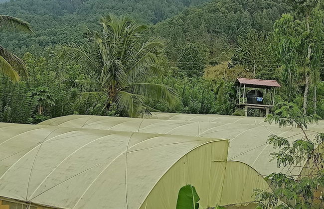 Mount view family rest & cottage - Photo 41