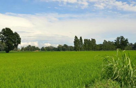 Agriturismo Borgo San Francesco - Foto 20