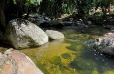 Sítio Fazenda Ingaiba mangaratiba - Foto 10