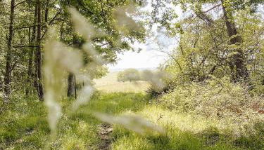 Le Val Suzenay - Foto 5