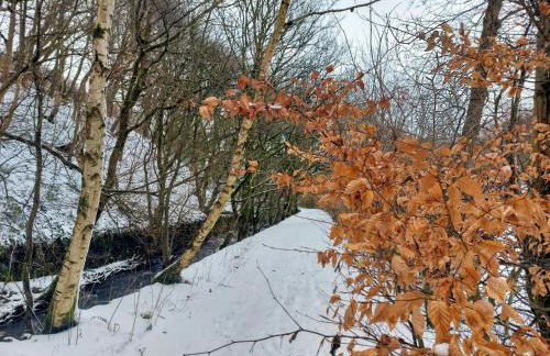 Sett Cottage, Hayfield - Photo 19