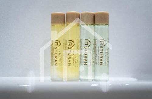 A Paicega - Oviedo Centro - Foto 34