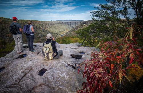 Forest Gap - Pizza oven, hot tub, EV charger - Foto 51