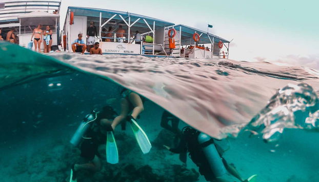 Snorkeling dans le récif de Maracajaú