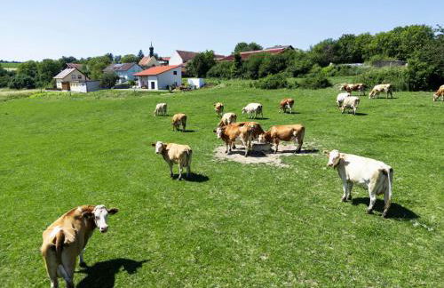Wo sich Kuh, Fuchs und Hase gute Nacht sagen - Foto 4