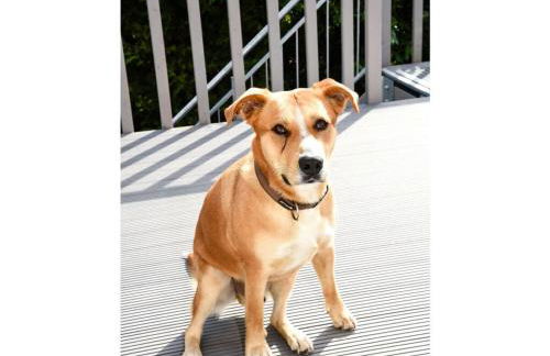 Holiday Apartment Elbe - Foto 59