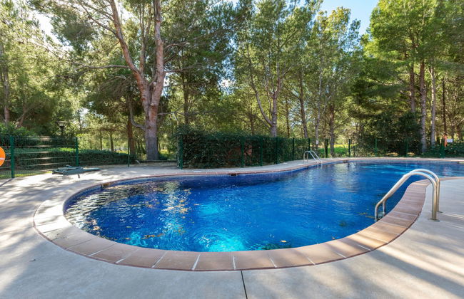 Bonmont II - Foto 17