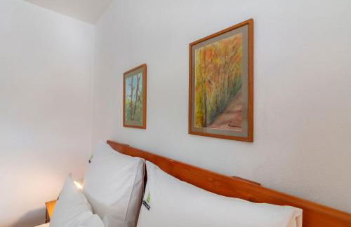 Casas do Porto - Azalea and Hortênsia - Foto 9