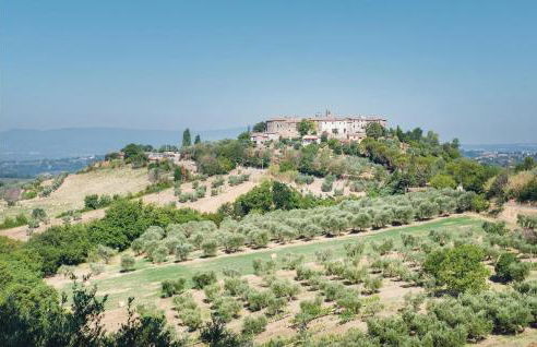 Blue Cherry - Foto 59