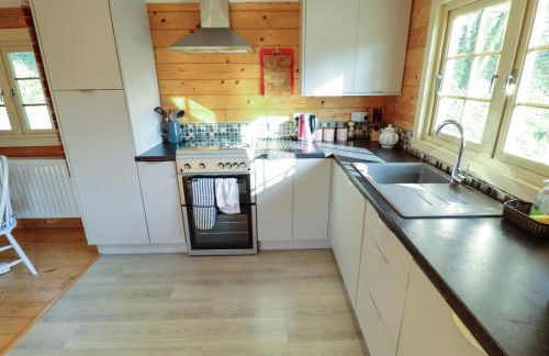 Dolly's Hideaway Cabin - Foto 10