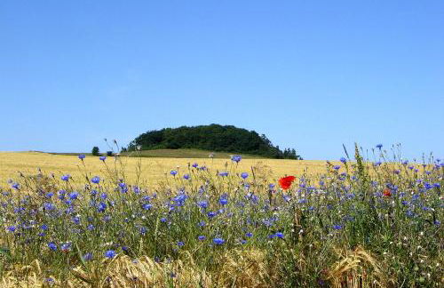 Haus in idyllischer Lage mit Sauna, Terrasse und Garten - Villa Morgensünn - Foto 12