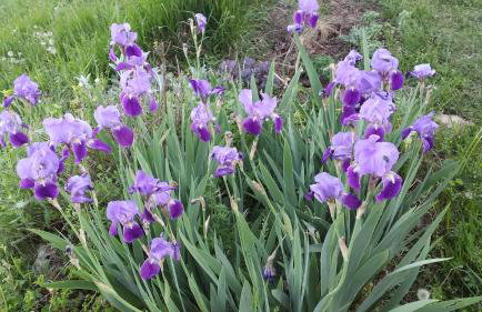Le Rossignol - La Cipière Gîtes - Foto 34