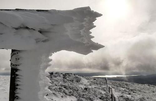 Casa do Loureiro - Foto 21