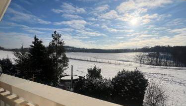 Chalet Bamboo-Garden am Hengstberg bei Dresden - Photo 3