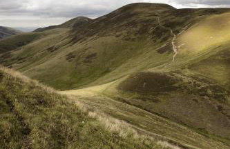 Eastside - Architect designed retreat with wood-fired sauna - Foto 58