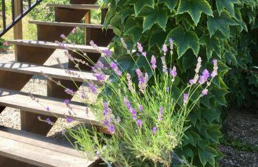 Gîtes avec piscine au cœur de la nature dans un domaine familial - Foto 61