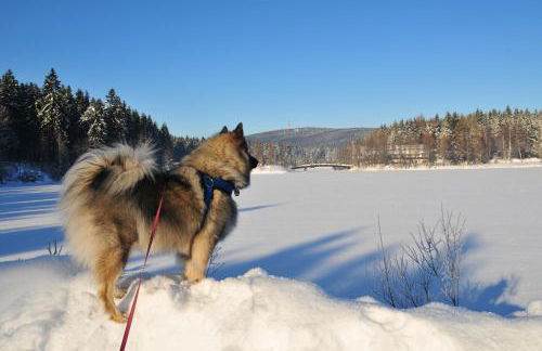 Ferienwohnung Fichtelsonne - Foto 32